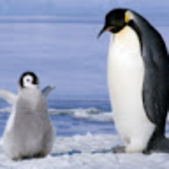 Meet your Posher, Cristina - Picture 2 of 2